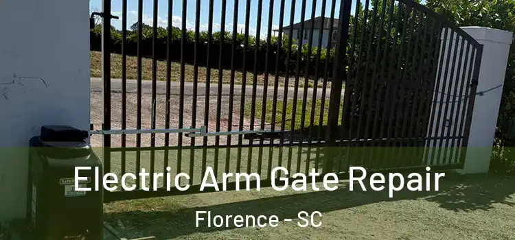 Electric Arm Gate Repair Florence - SC