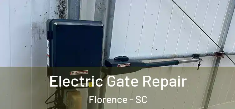 Electric Gate Repair Florence - SC