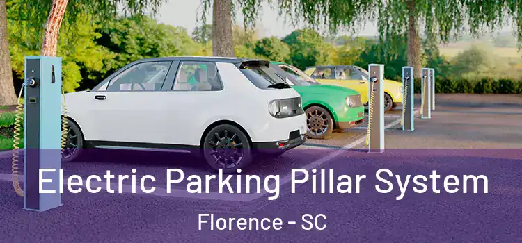 Electric Parking Pillar System Florence - SC