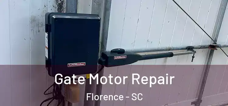 Gate Motor Repair Florence - SC