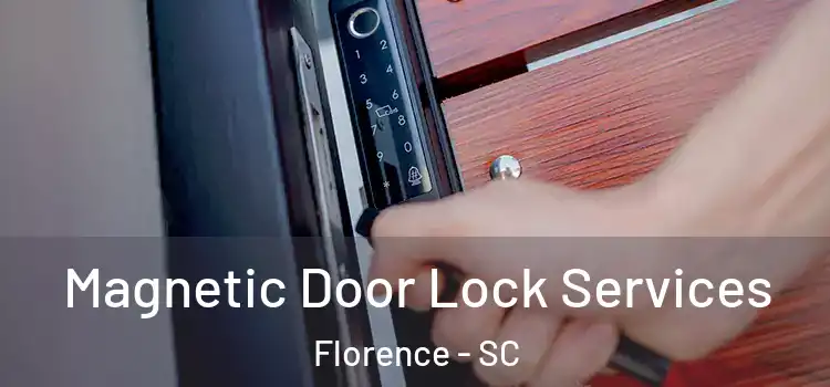Magnetic Door Lock Services Florence - SC