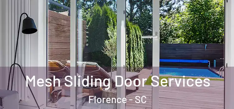 Mesh Sliding Door Services Florence - SC