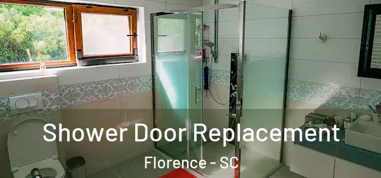 Shower Door Replacement Florence - SC